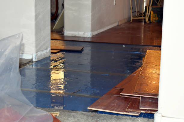 Professional Water Damage technician working in Capron, IL